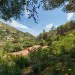 Marilena - Goelba
